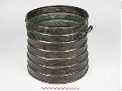 Foto von Bronzerippenciste (NHMW-PRAE-024511)